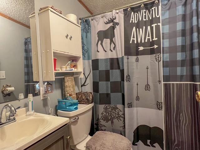 bathroom with a shower with curtain, a textured ceiling, toilet, vanity, and crown molding