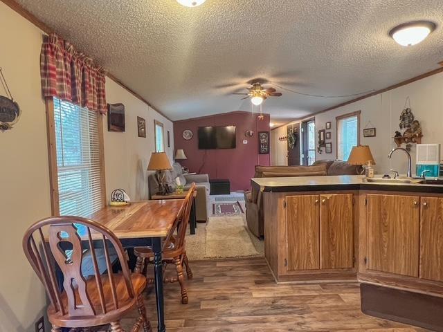 kitchen with a sink, light wood finished floors, a ceiling fan, and plenty of natural light