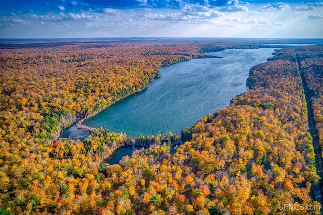 aerial view featuring a water view and a view of trees