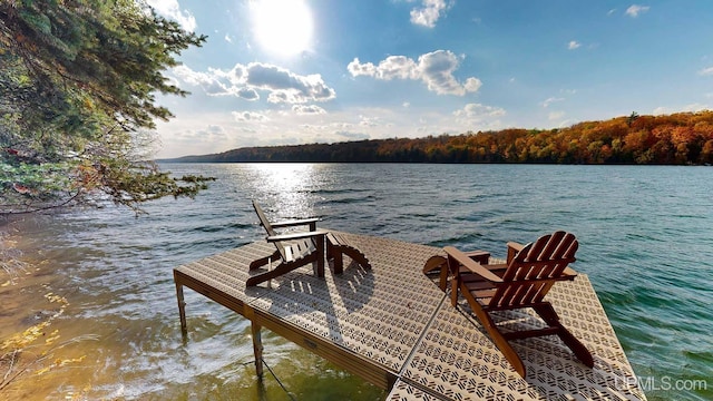 dock area featuring a wooded view and a water view