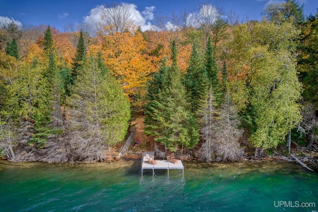 water view with a wooded view