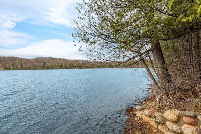 property view of water featuring a wooded view