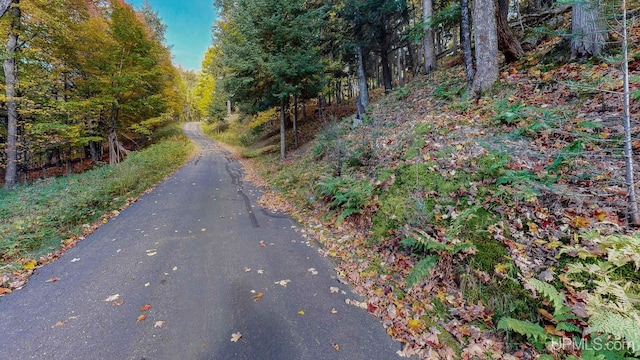 view of street with a wooded view