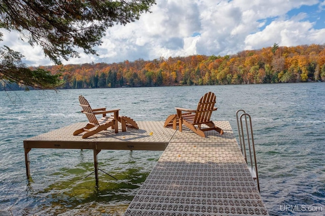 dock area featuring a water view and a view of trees