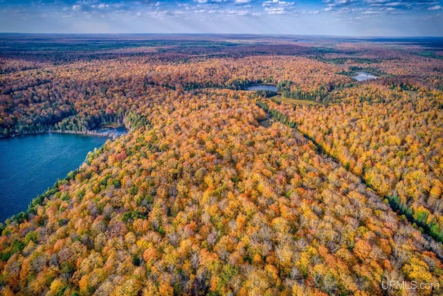 birds eye view of property featuring a water view and a forest view