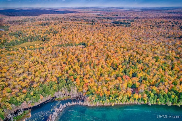 bird's eye view with a wooded view