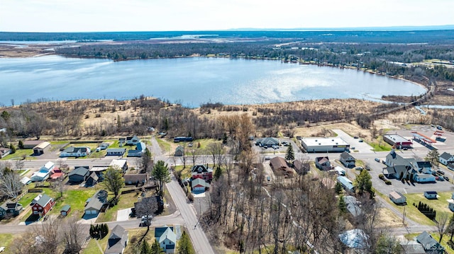 bird's eye view featuring a forest view, a water view, and a residential view