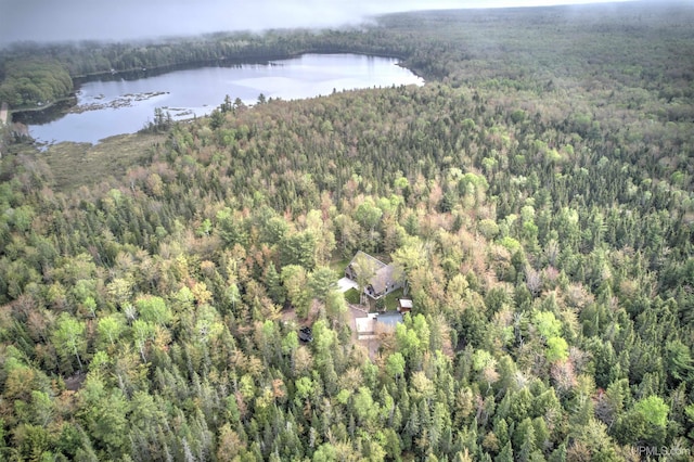 N9006 Sand River Rd, Deerton, MI 49822 - aerial view featuring a water view and a view of trees