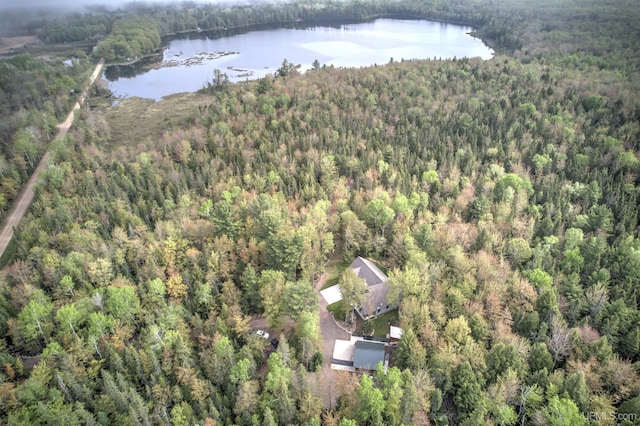 N9006 Sand River Rd, Deerton, MI 49822 - birds eye view of property featuring a water view and a forest view