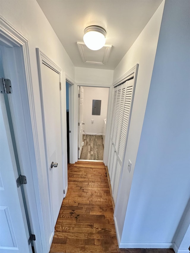 hallway featuring electric panel and dark wood-type flooring