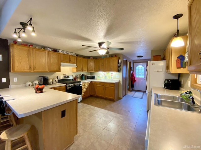 kitchen with a peninsula, a sink, under cabinet range hood, light countertops, and appliances with stainless steel finishes