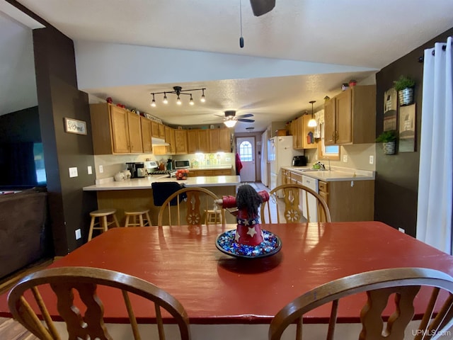 dining room featuring lofted ceiling and a ceiling fan