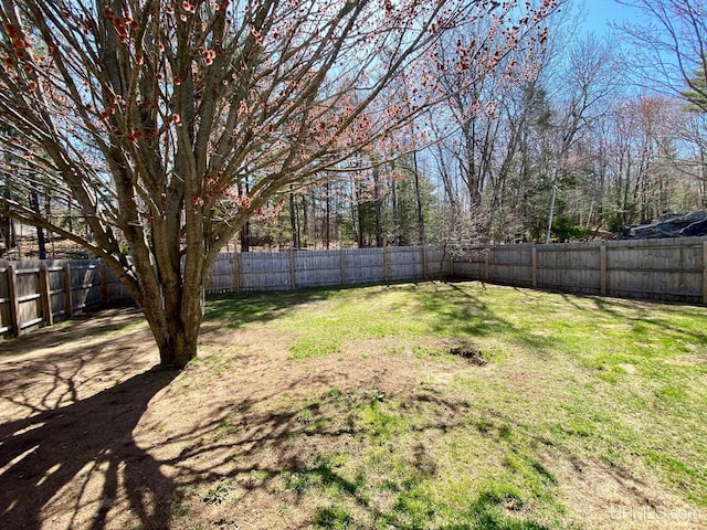 view of yard featuring a fenced backyard