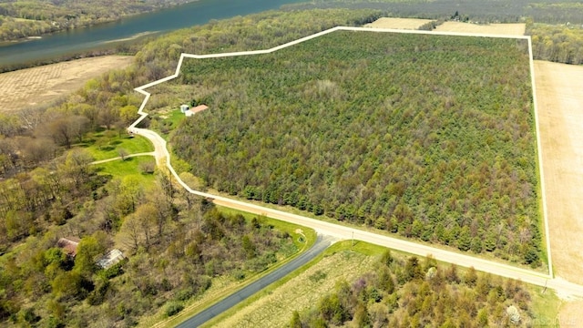 4331 Lake Chapin Rd, Berrien Springs, MI 49103