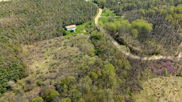 4331 Lake Chapin Rd, Berrien Springs, MI 49103