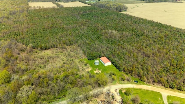 4331 Lake Chapin Rd, Berrien Springs, MI 49103
