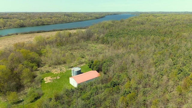 4331 Lake Chapin Rd, Berrien Springs, MI 49103