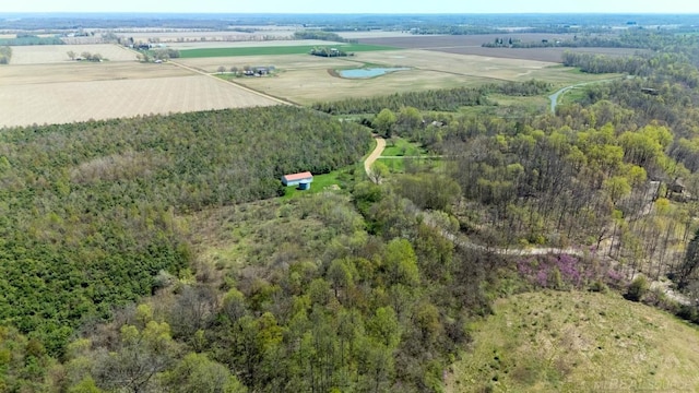 4331 Lake Chapin Rd, Berrien Springs, MI 49103