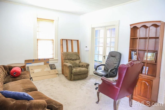 living area with ornamental molding, a healthy amount of sunlight, and carpet floors