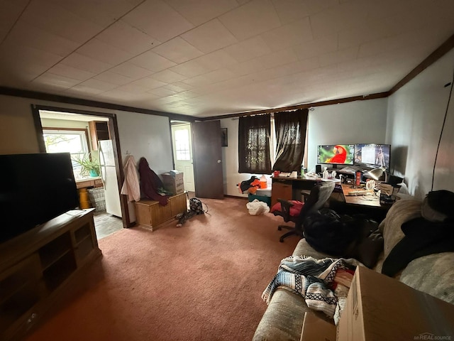 living area with ornamental molding and carpet
