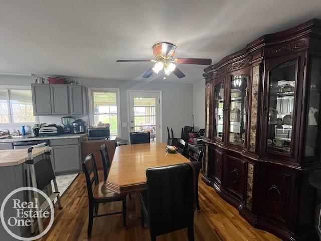 dining area featuring ceiling fan, a healthy amount of sunlight, and dark wood-style floors