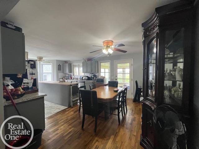 dining space with ceiling fan and dark wood-style floors