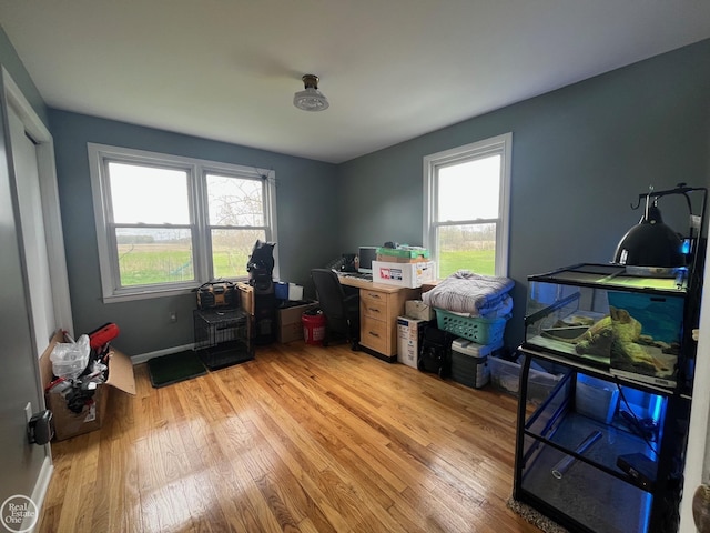 home office with light wood-type flooring, plenty of natural light, and baseboards