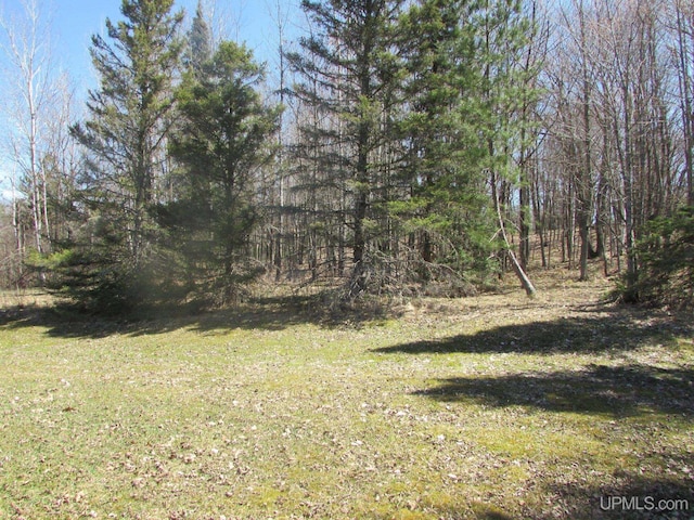 25485 Opal Rd, Watton, MI 49970 - view of green lawn featuring a view of trees