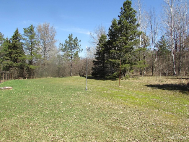 25485 Opal Rd, Watton, MI 49970 - view of grassy yard