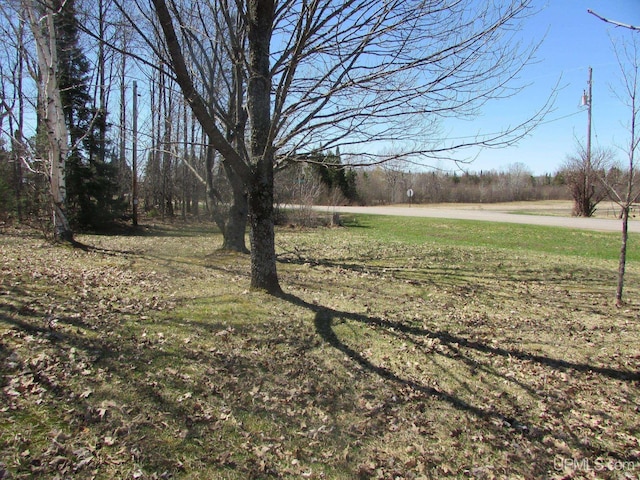 25485 Opal Rd, Watton, MI 49970 - view of green lawn