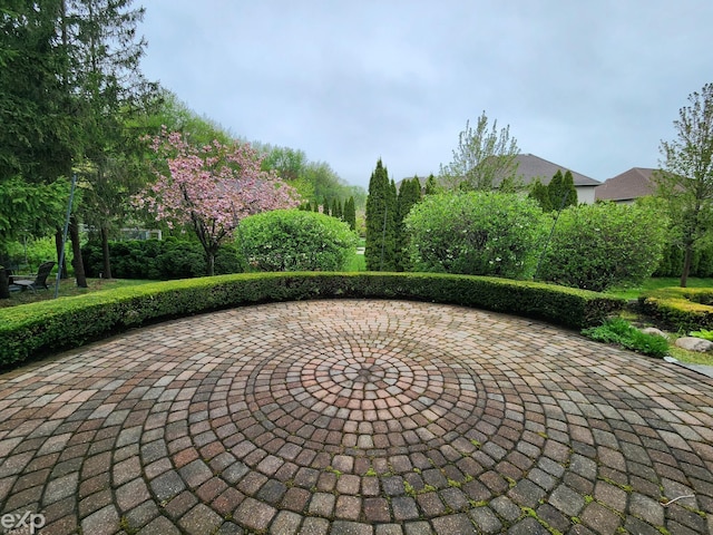 view of community featuring a patio