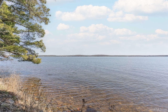 property view of water