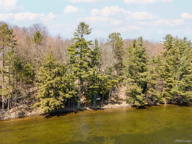 water view with a forest view