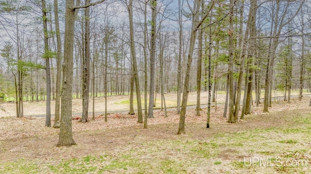 view of yard with a view of trees