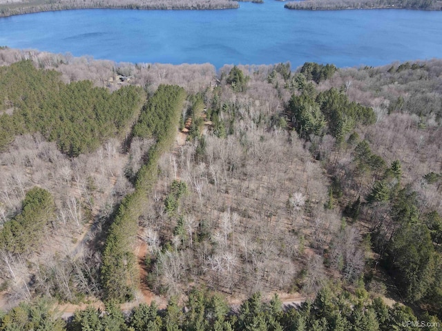 birds eye view of property featuring a water view and a forest view