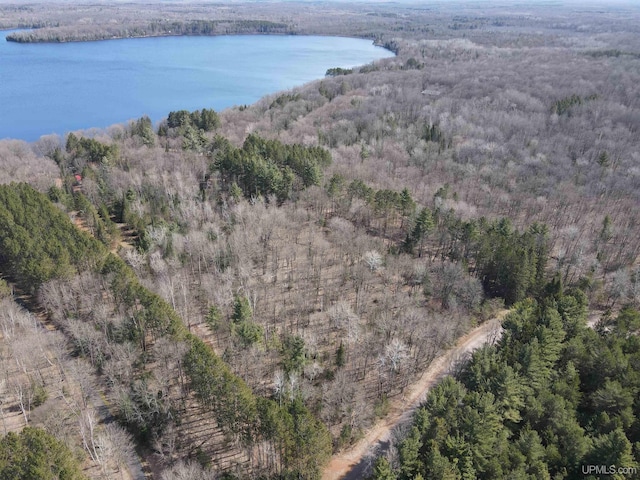 aerial overview of property's location with a heavily wooded area and a large body of water