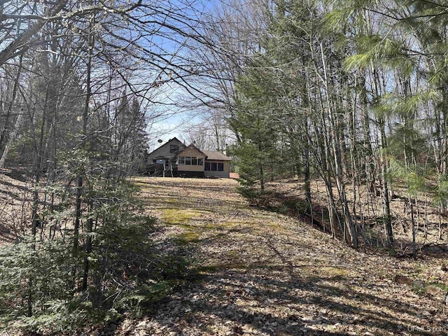 view of dirt / gravel driveway