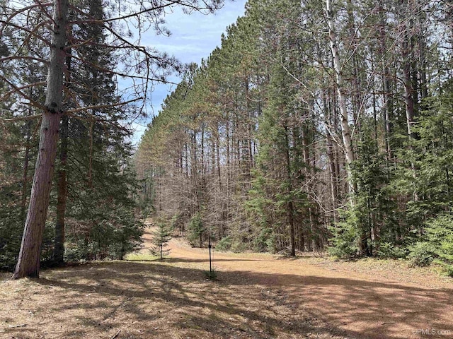 view of woods