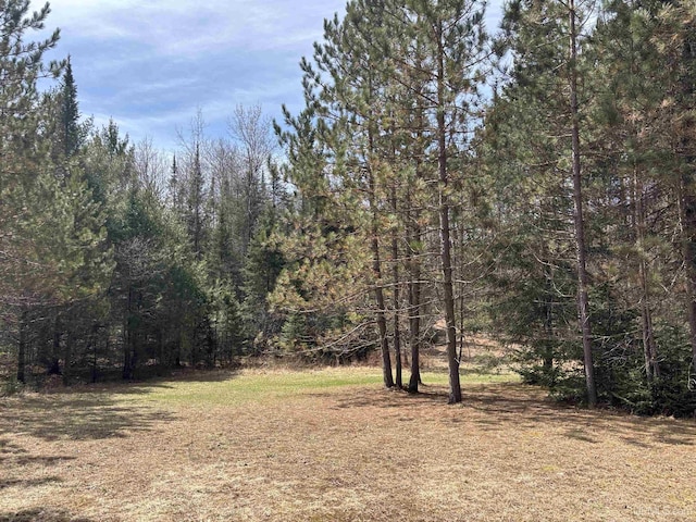 view of wooded area