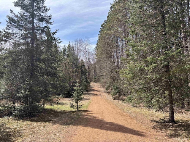 view of street with a wooded view