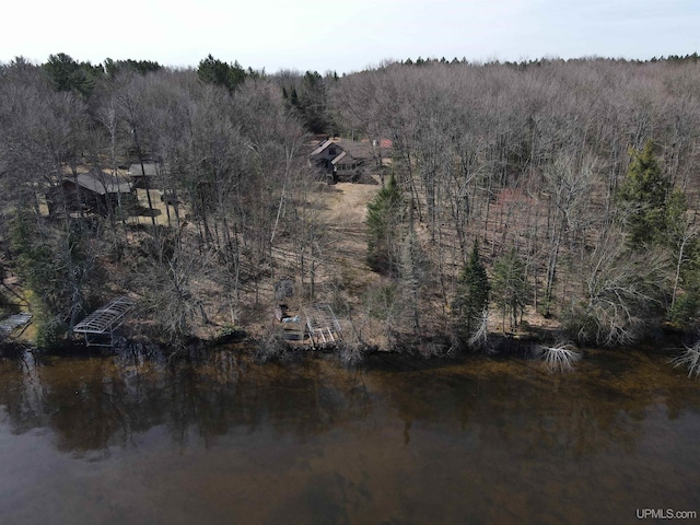 water view featuring a forest