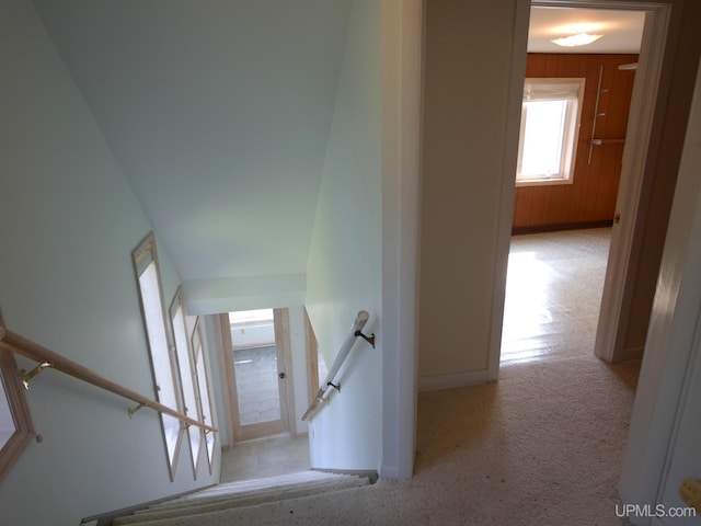 staircase featuring baseboards and carpet flooring
