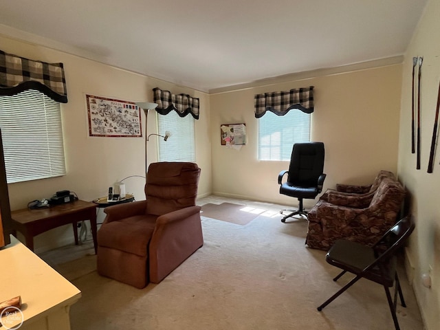 sitting room featuring carpet flooring