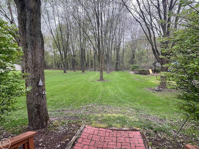 view of yard