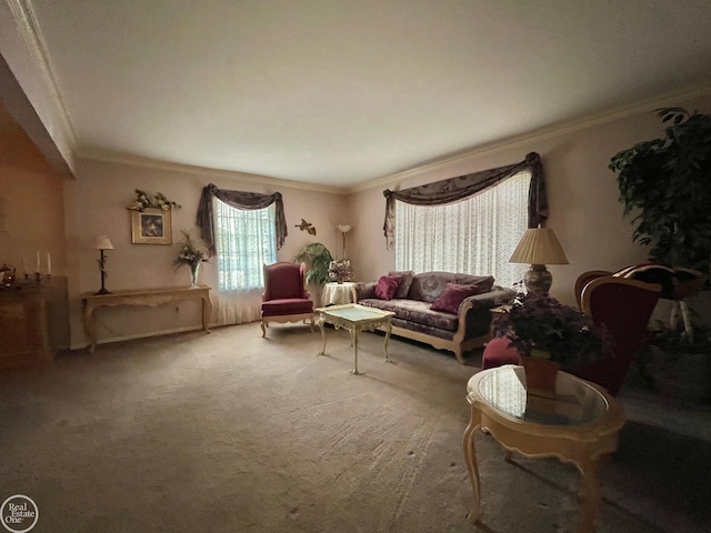 carpeted living room featuring crown molding