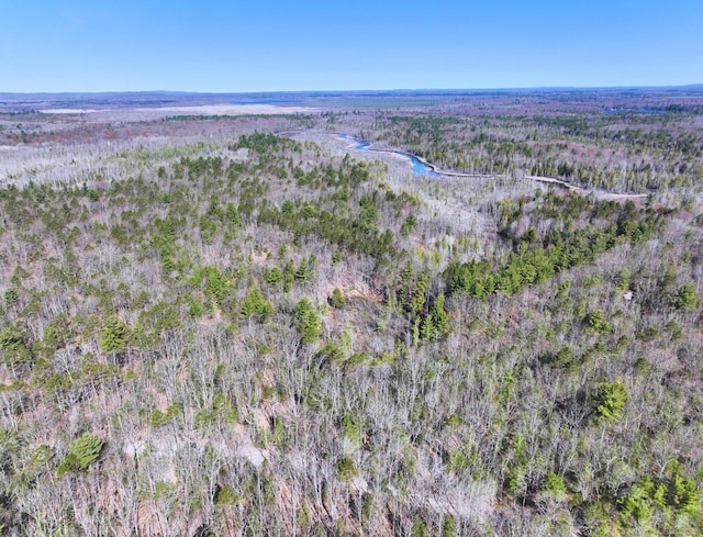 0 Hall Creek Rd, Interlochen, MI 49643