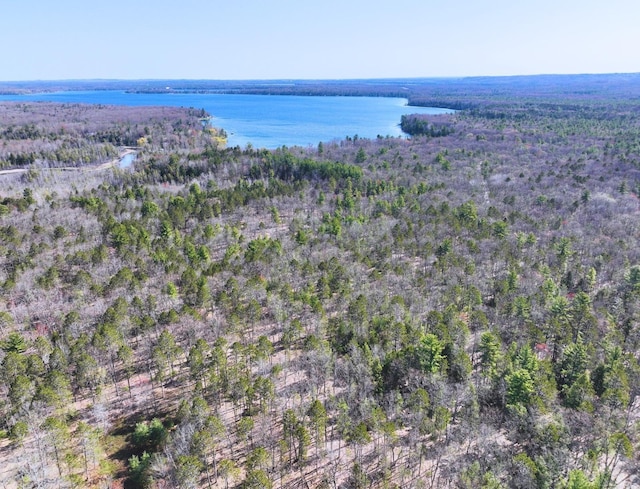 0 Hall Creek Rd, Interlochen, MI 49643