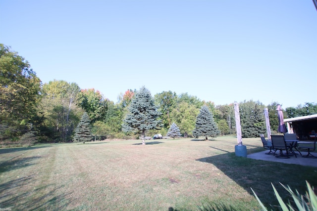 view of grassy yard featuring a patio area