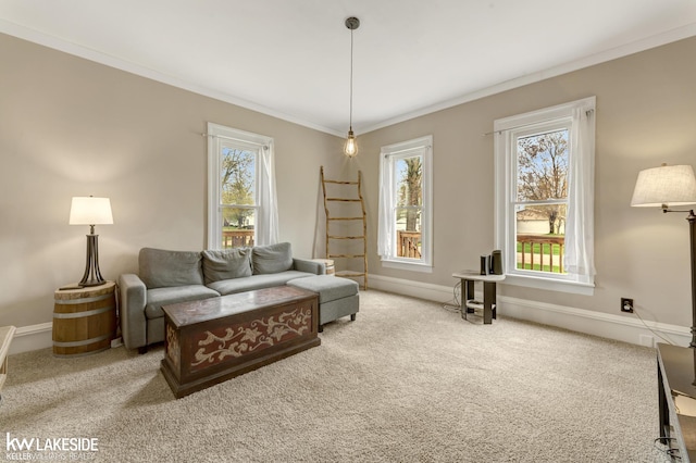 carpeted living area with baseboards, crown molding, and plenty of natural light