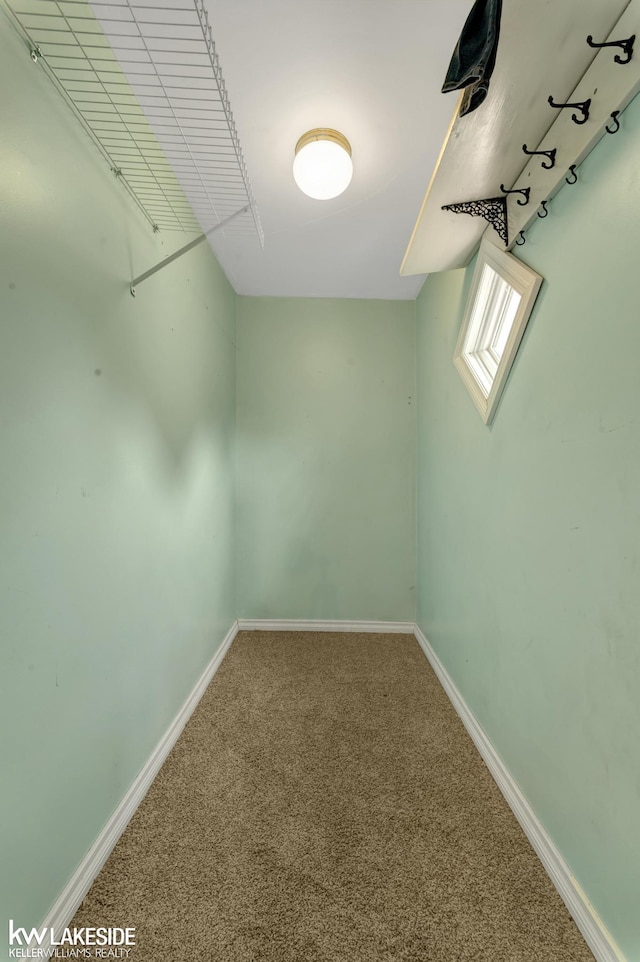 spacious closet featuring carpet floors